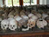 ca-phno-choeung-ek-monument-skulls-600.jpg (79817 bytes)